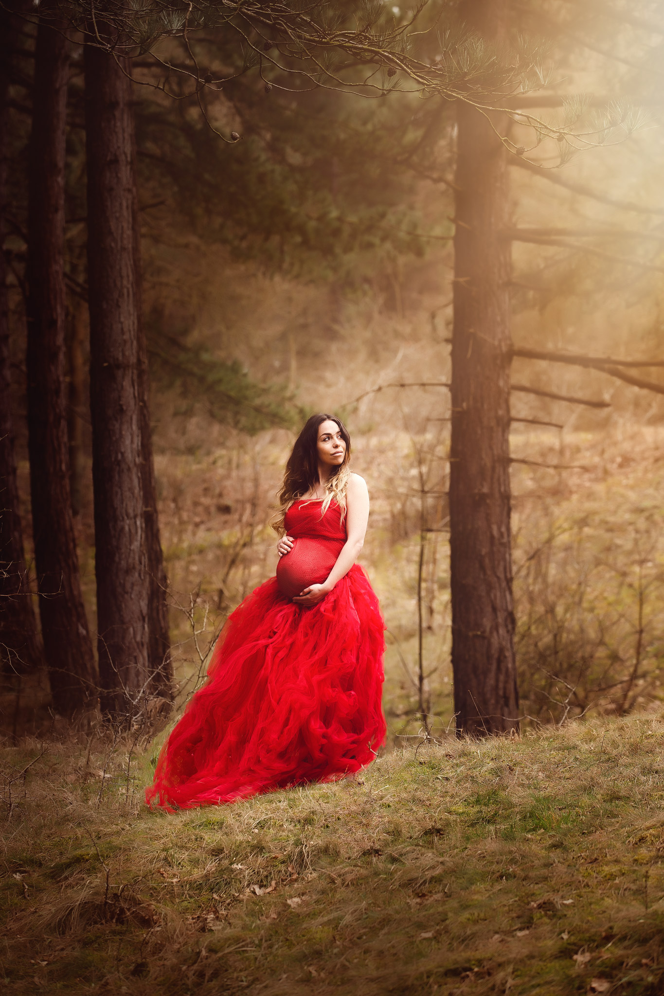 Zwangerschap shoot bos rode jurk Beverwijk Heemskerk