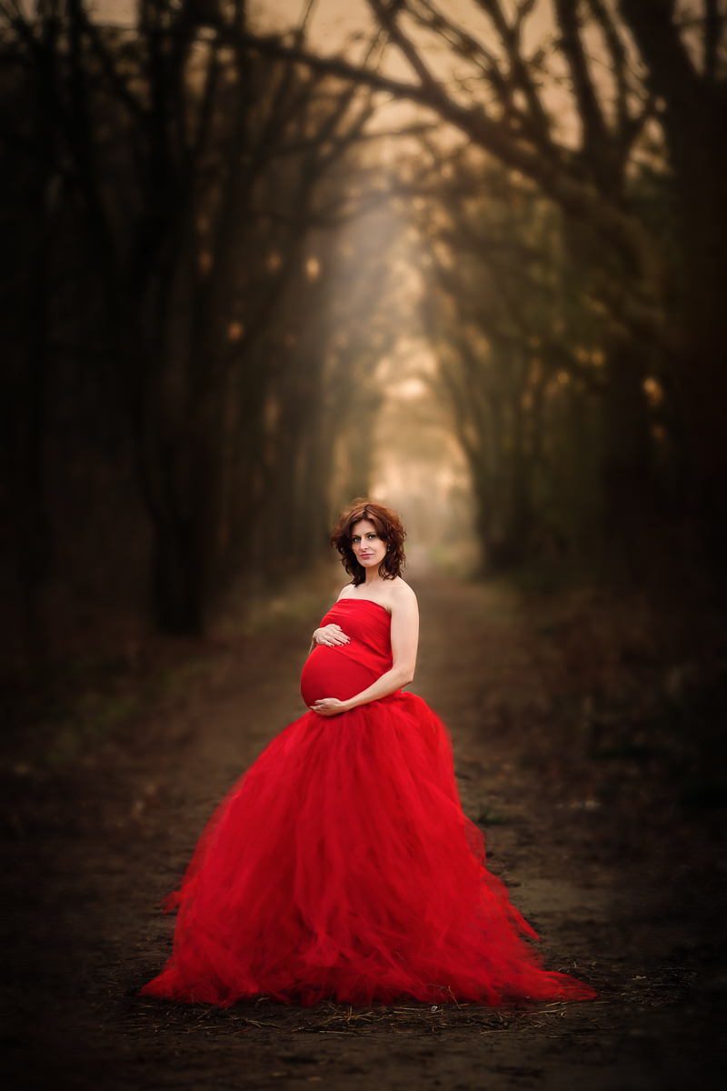 Zwangerschapsshoot buiten in duinen bosgebied Heemskerk Assendelft in rode jurk